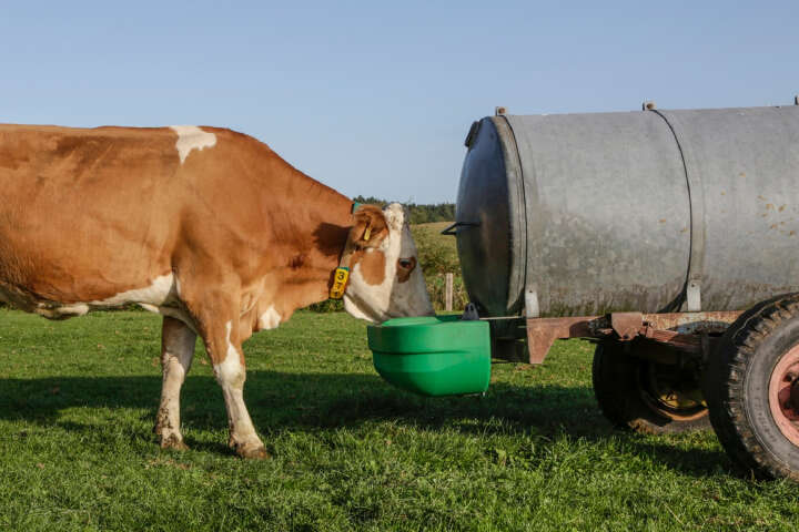 KERBL Doppel-Schwimmertränke S60 für Weidefassanbau
